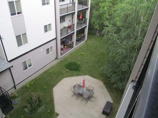 Image 13