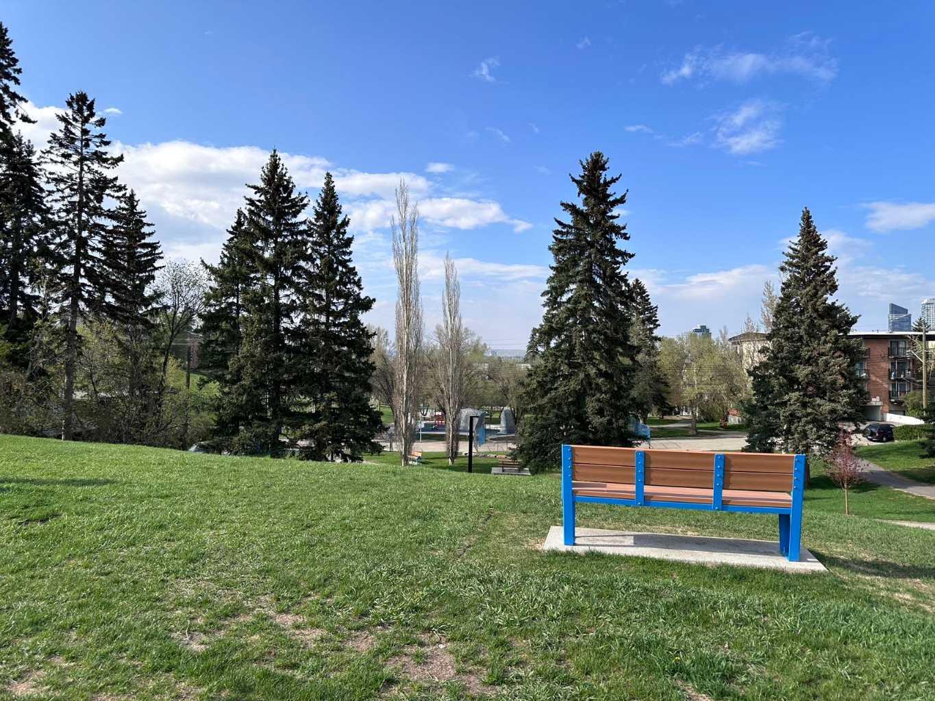 Image 10