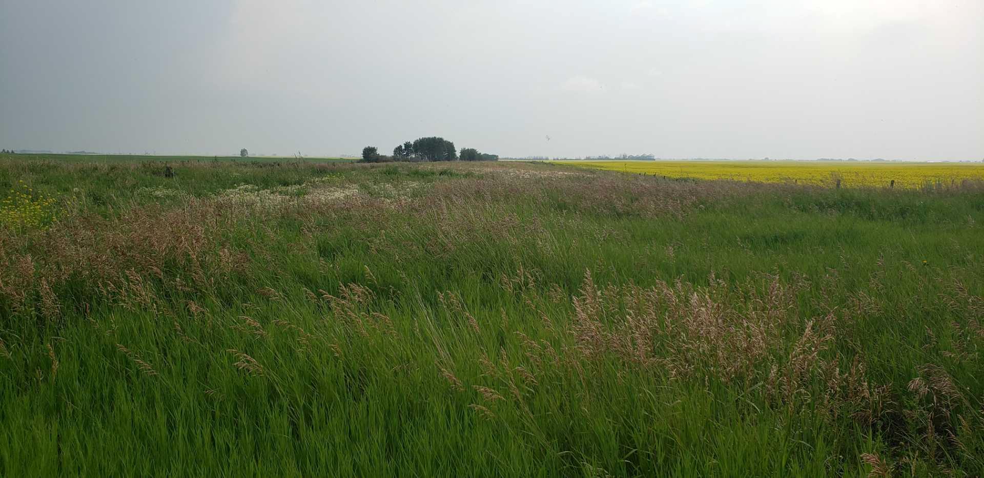 Image 32