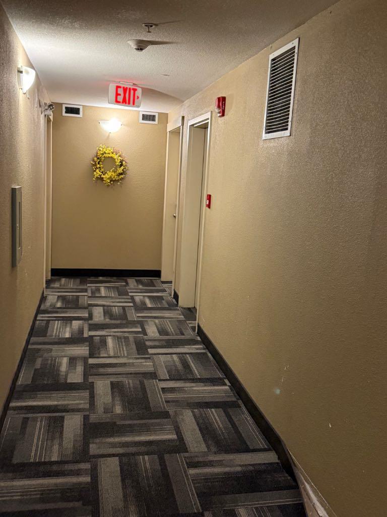 Image 15