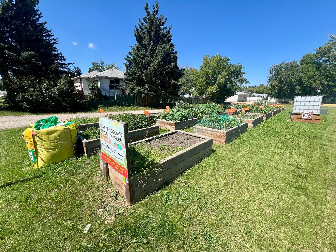 Image 13