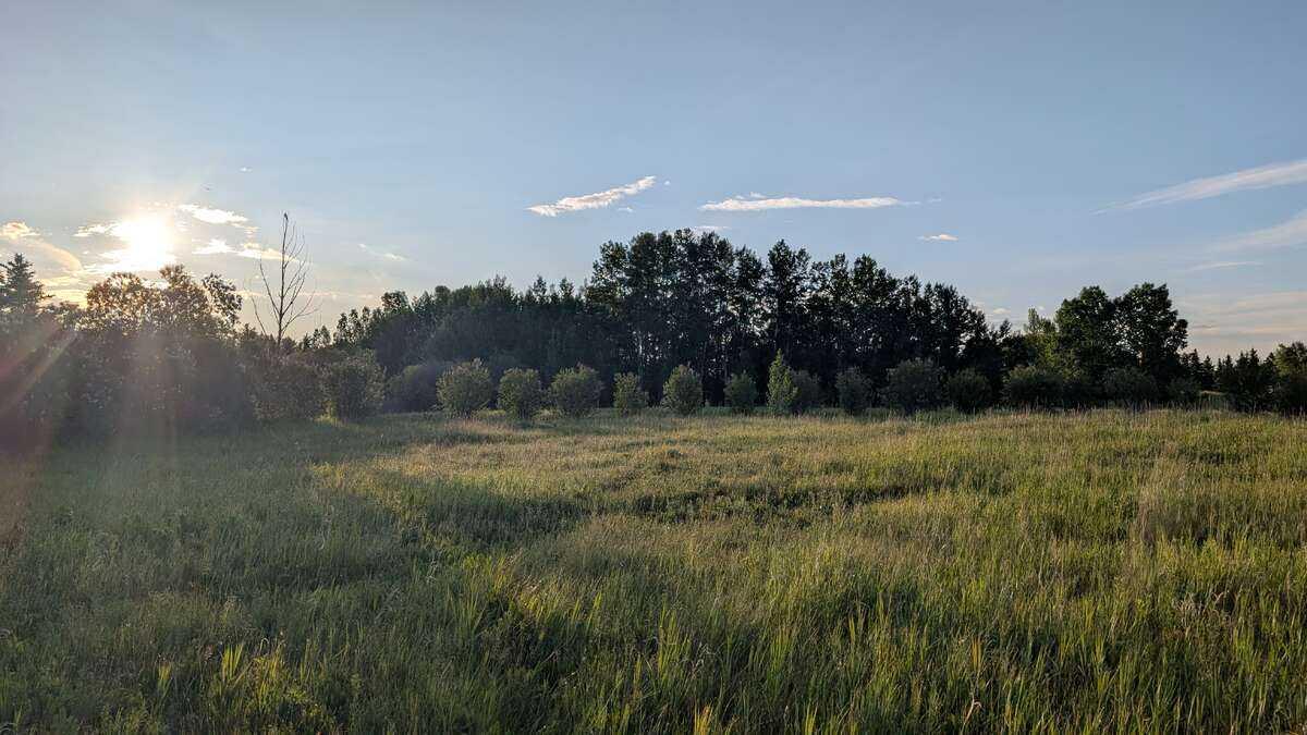Image 13