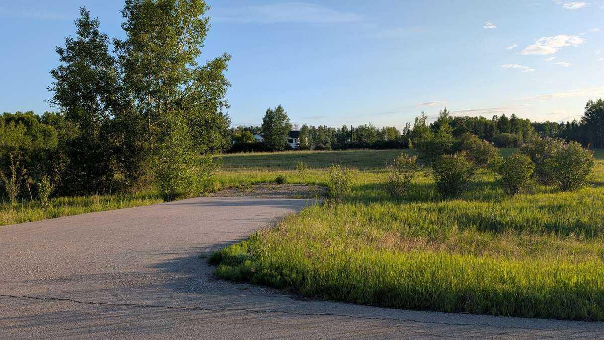 Image 19
