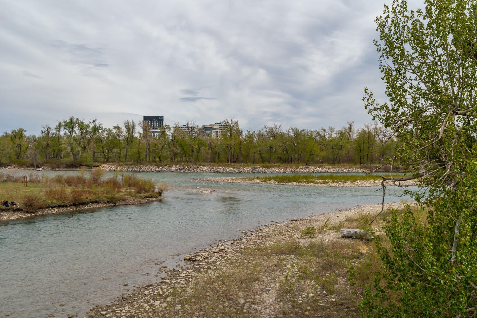 Image 33