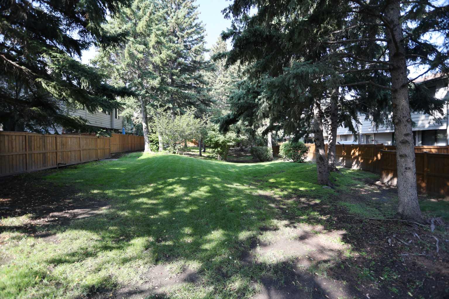 Image 25