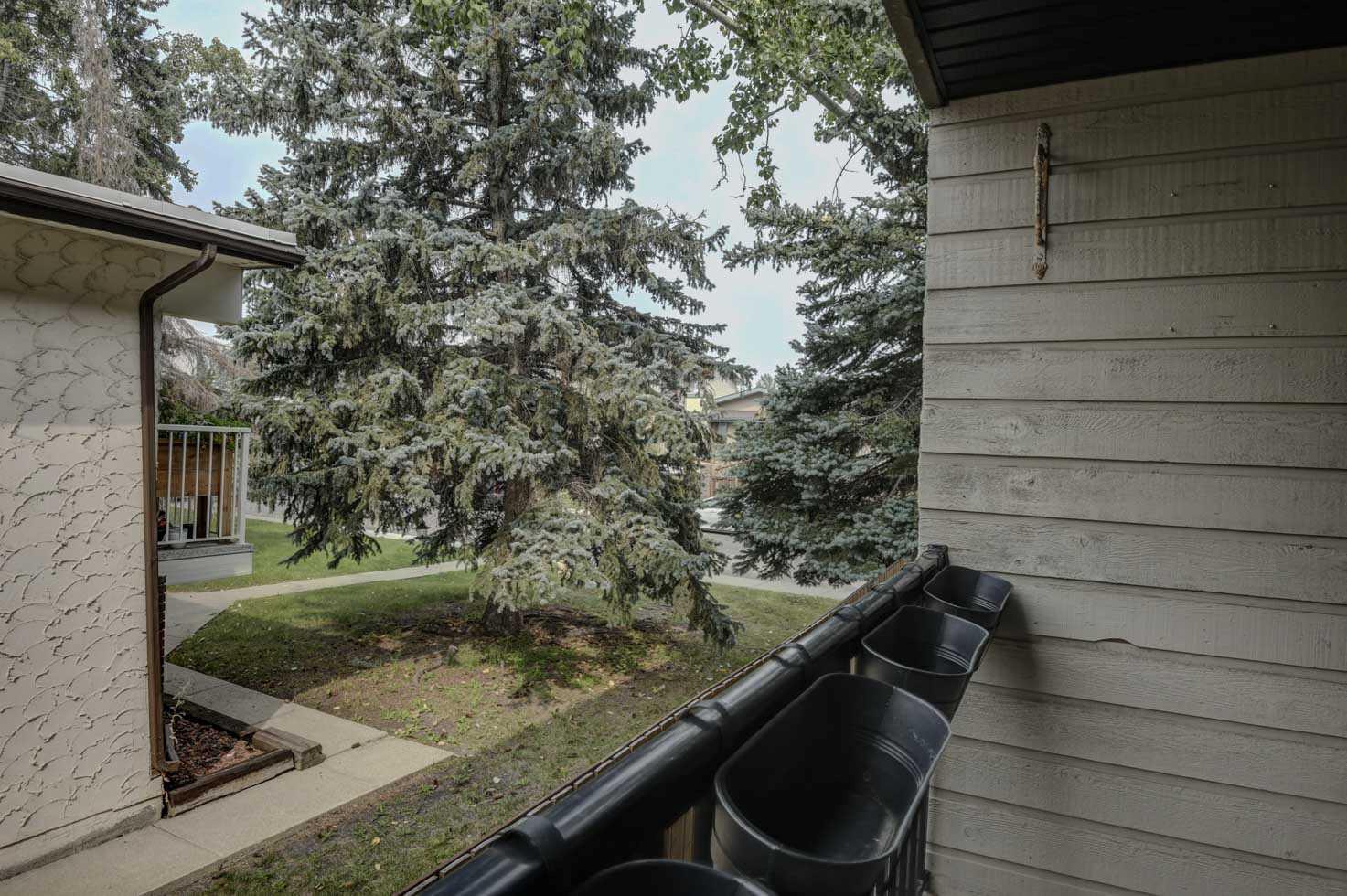 Image 14