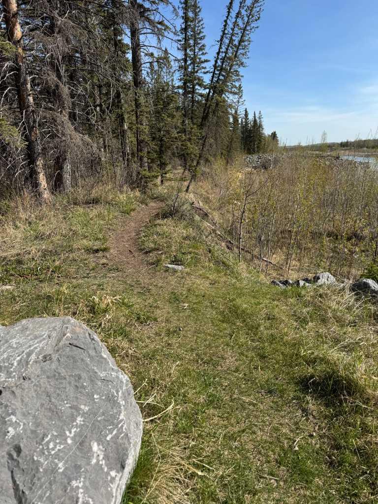 Image 46
