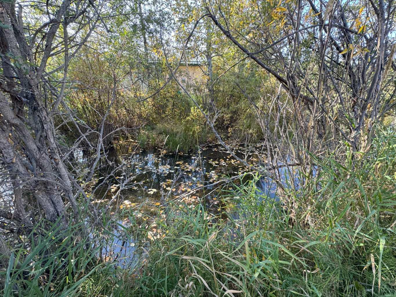 Image 9