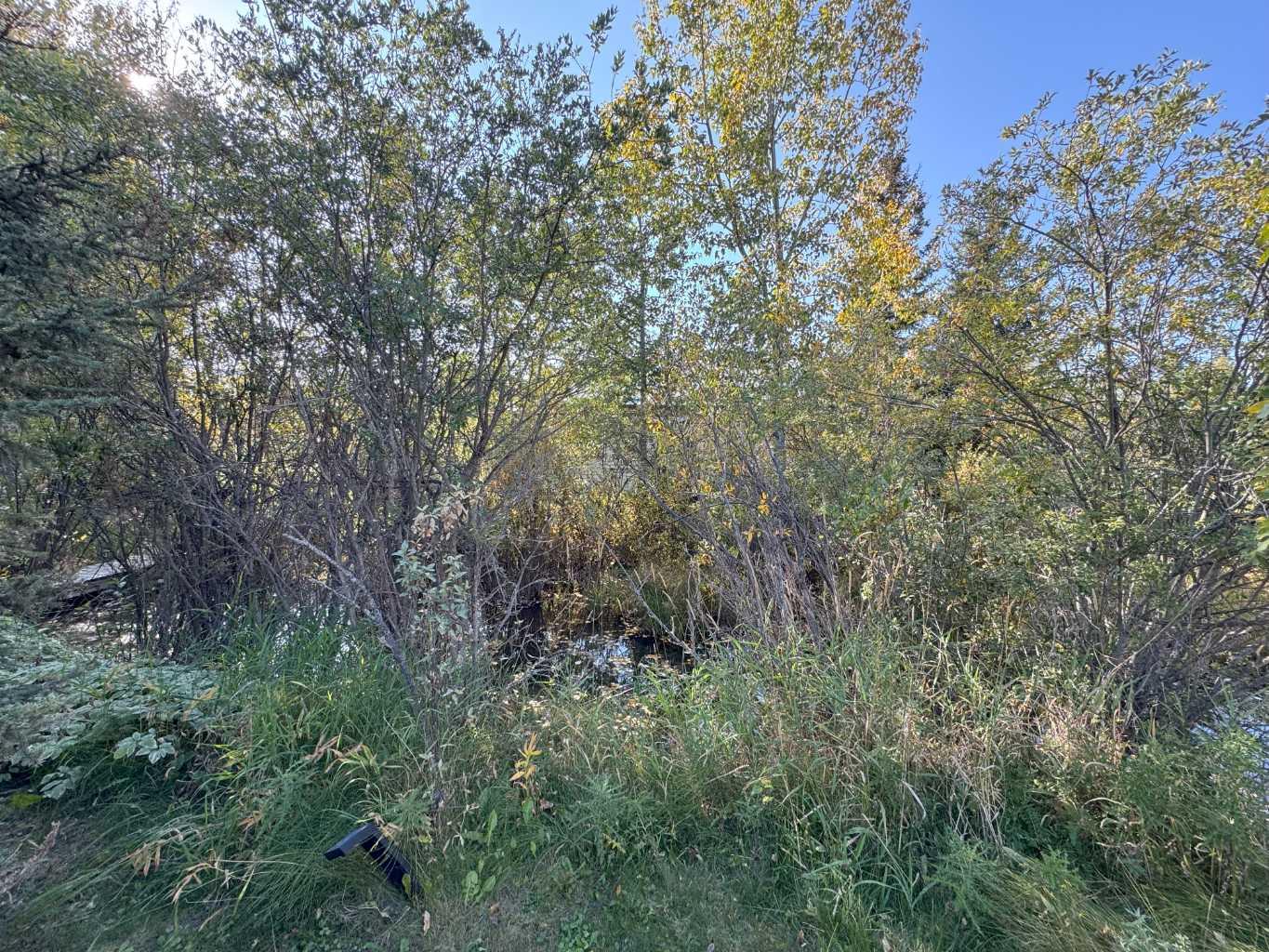 Image 10