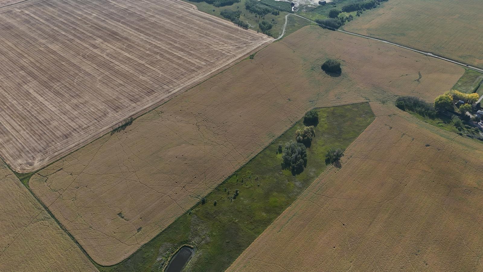 Image 13