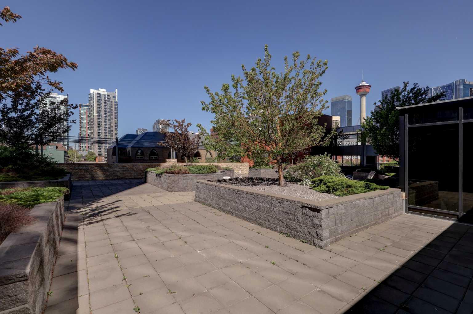 Image 25