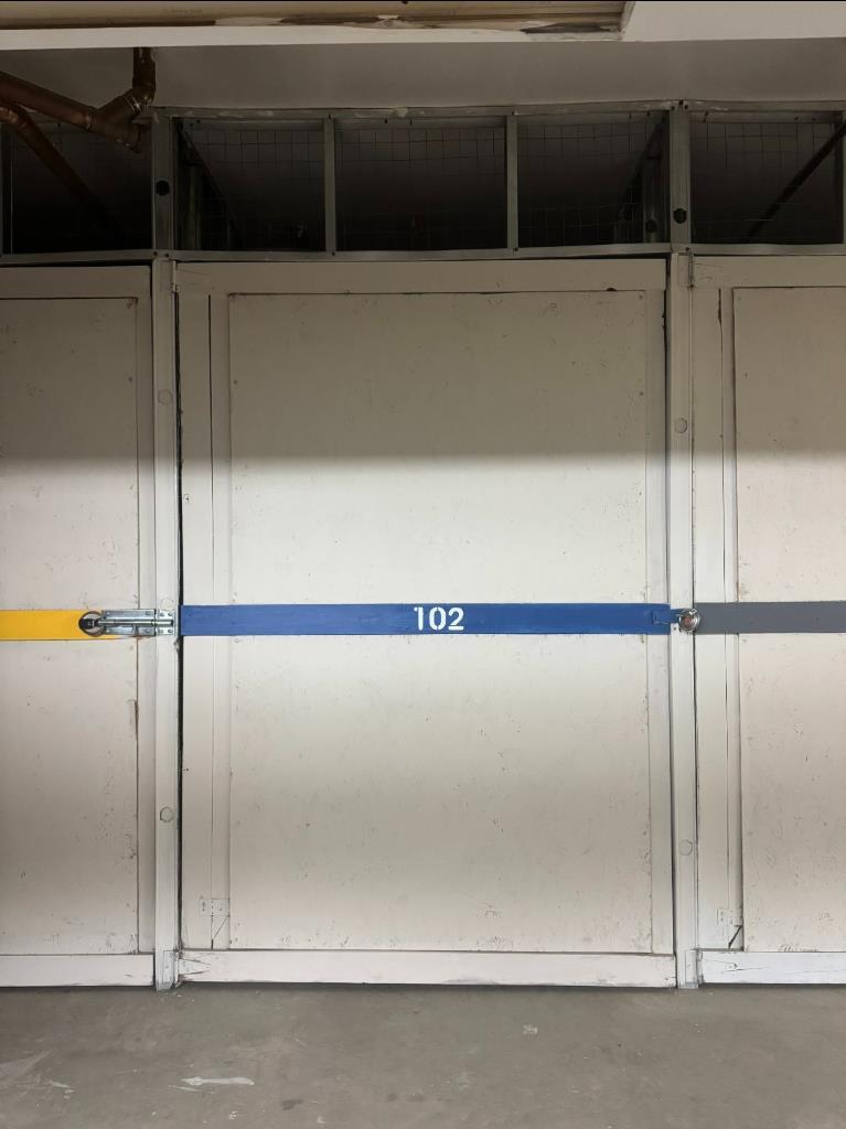 Image 11