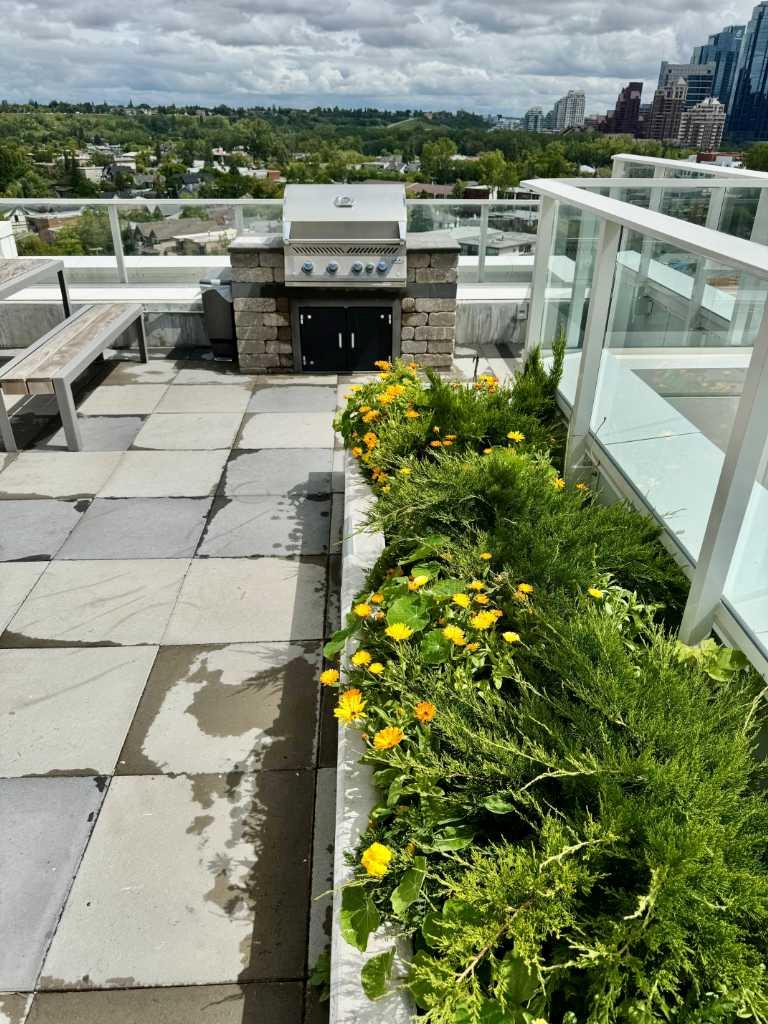 Image 12