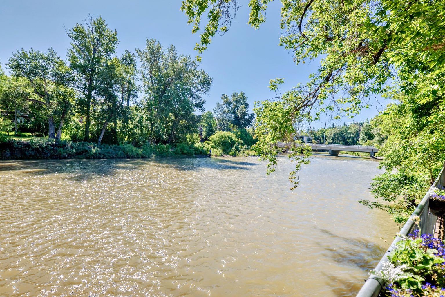 Image 13